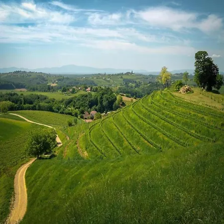 Enchanting In Ka Tel Gomilica Near *